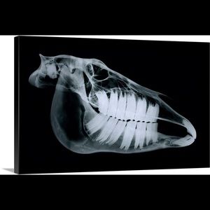 Meet your Posher, Blake